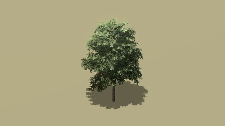Medium Poly Tree 3D Model