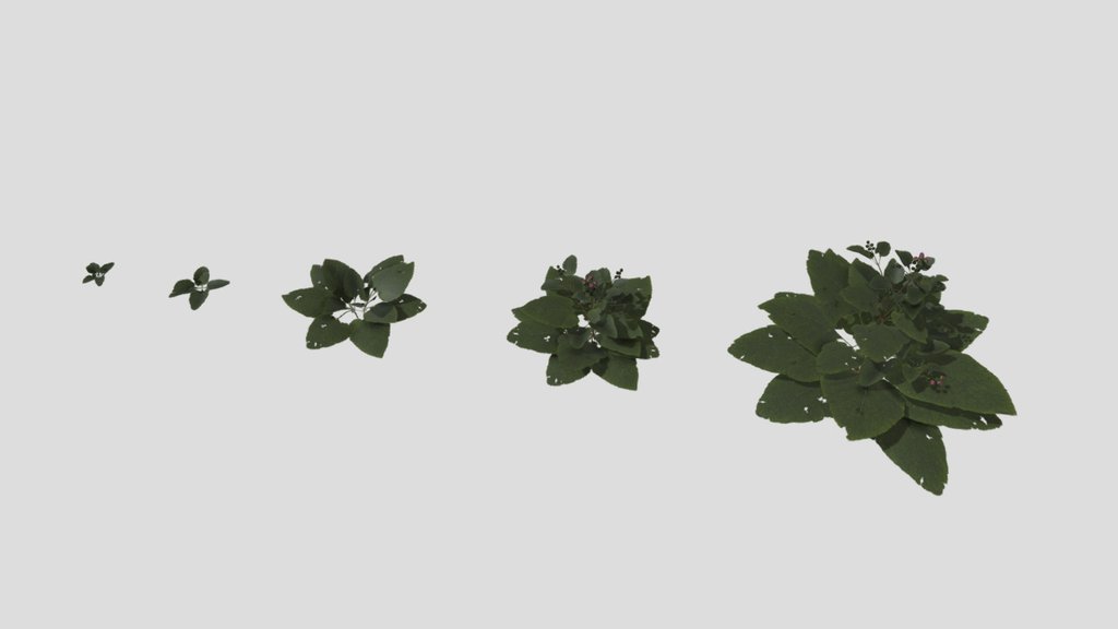 Burdocks (lowpoly)