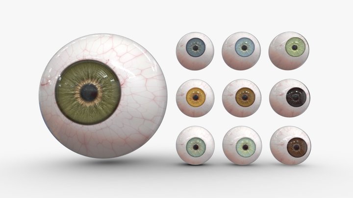 Sclera 3D models - Sketchfab