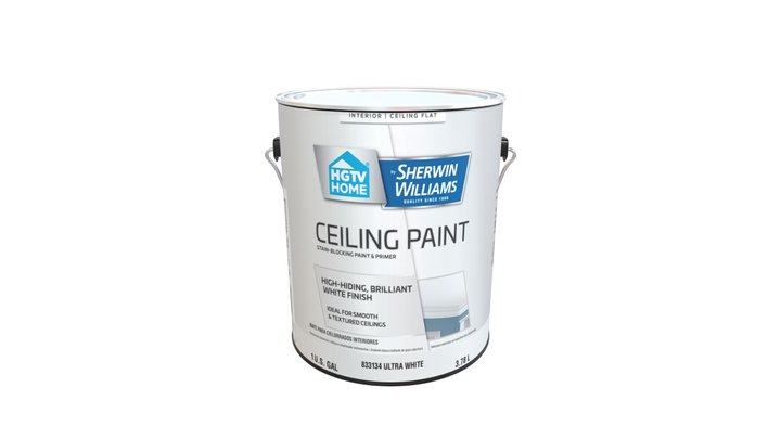 833134-HGTV Ceiling 1 Gal 3D Model