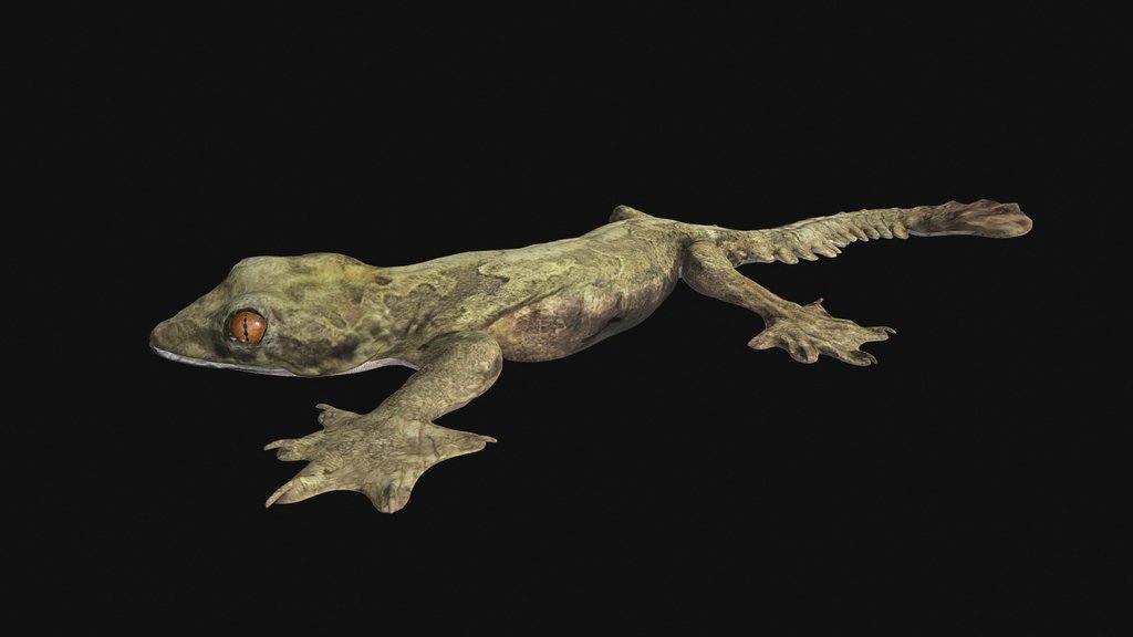 Model 57A - Flying Gecko