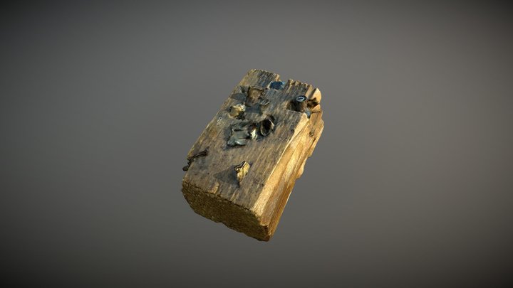 WWII wood with bullets 3D Model