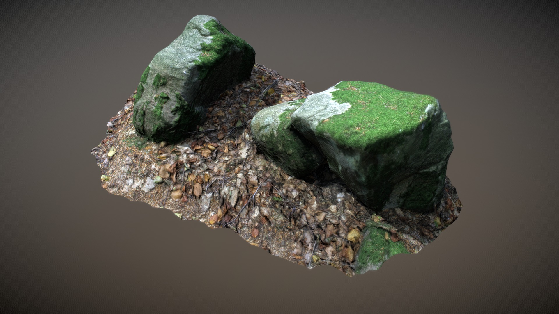 3D model Nature Stone 022 - This is a 3D model of the Nature Stone 022. The 3D model is about a green leaf on a tree branch.