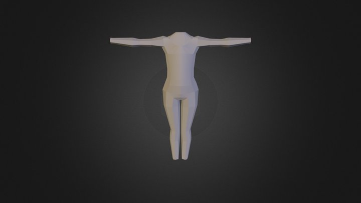 Figure Polygon - Body 3D Model