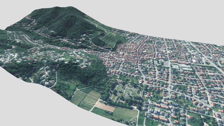 Orthophoto Schriesheim mit Strahlenburg 3D Model