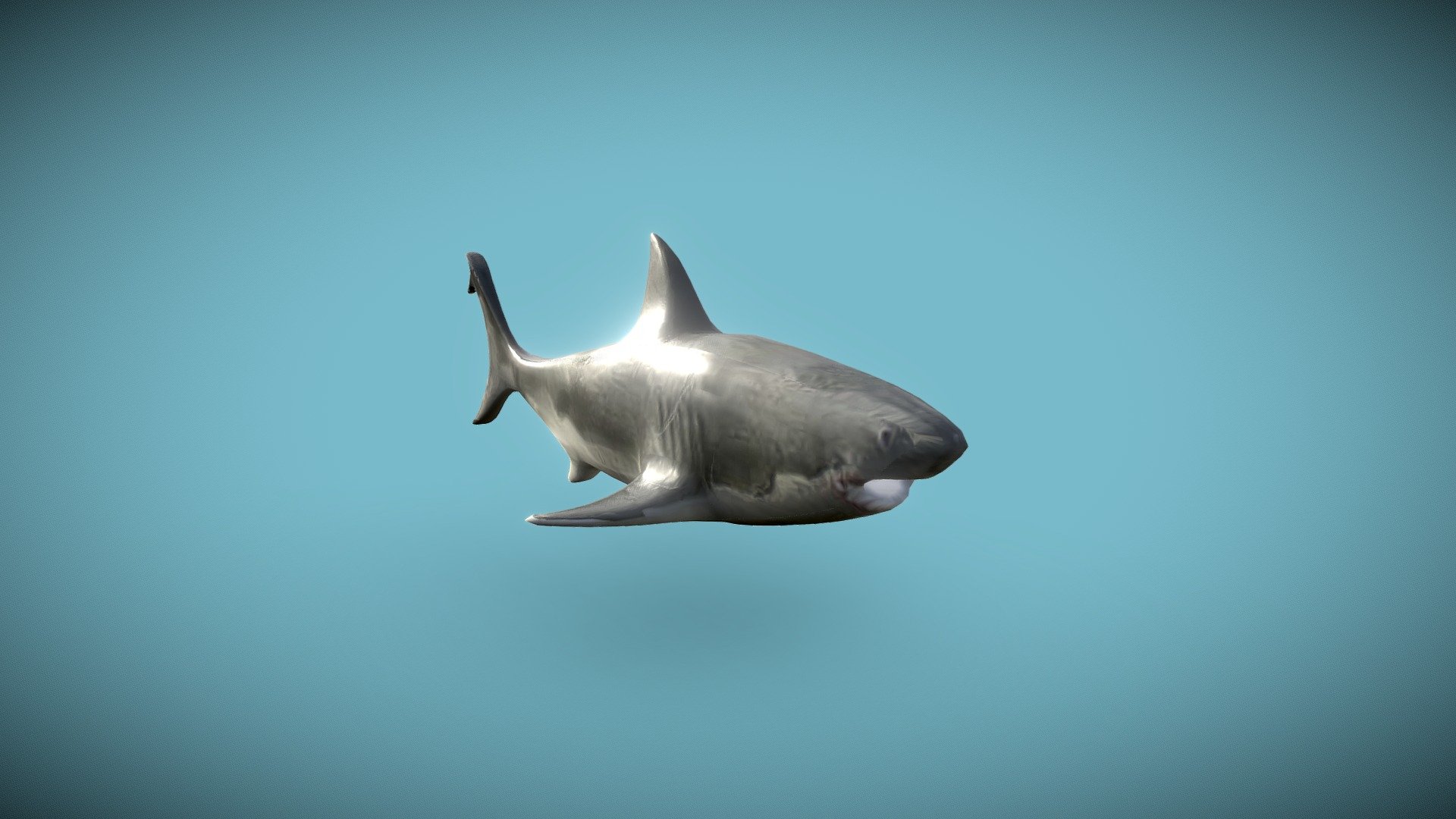 modeling and texturing a shark in Blender 