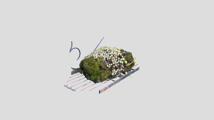Zwartemeer – Modello 3D gratuito STL