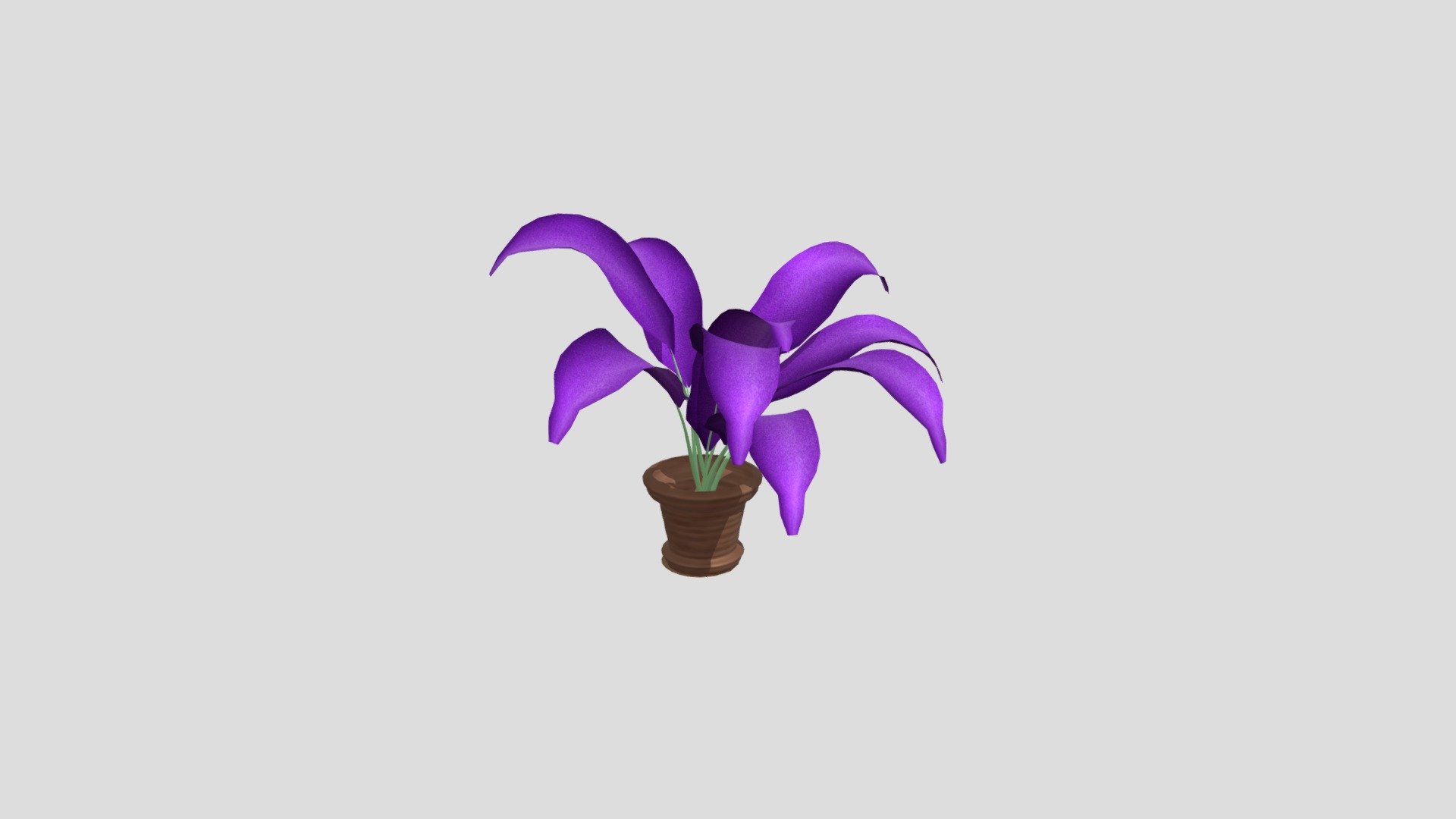 PLANT NEW