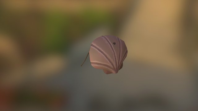 Shell 3D Model