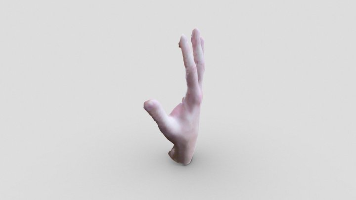Hand scanned with texture 3D Model