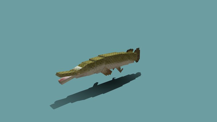 Alligator Gar 3D Model
