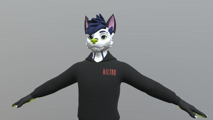 Invisy ArcticFox - Fursona 3D Model 3D Model