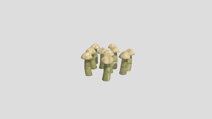 Small Mushroom Cluster 3D Model