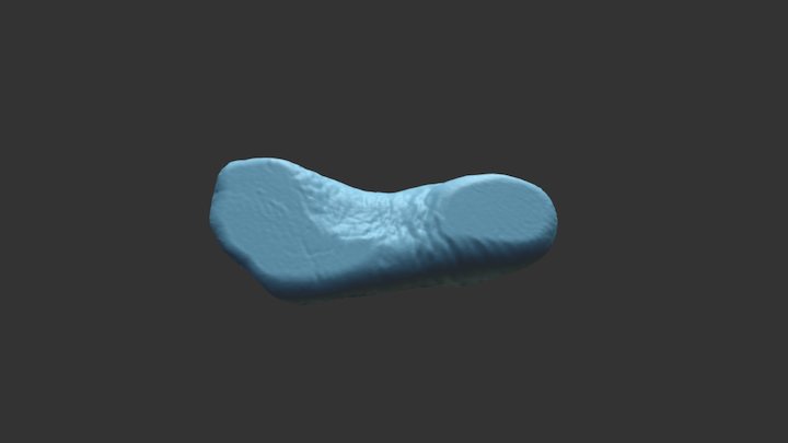 Artec Eva : foot sole placed on a glass plate 3D Model
