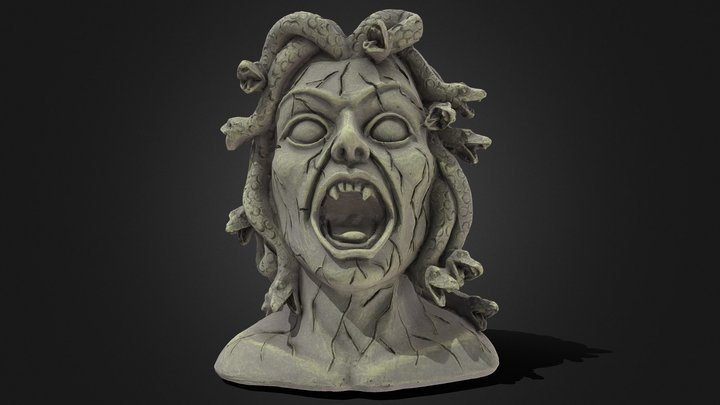 Medusa (Planter) 3D Model