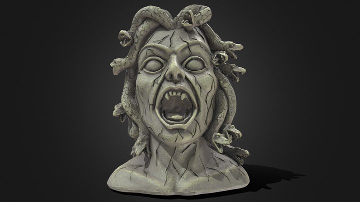 Medusa (Planter) 3D Model