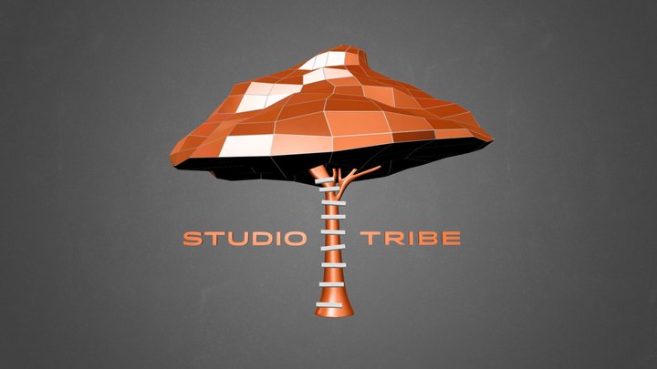 StudioTribe - Logo 3D Model