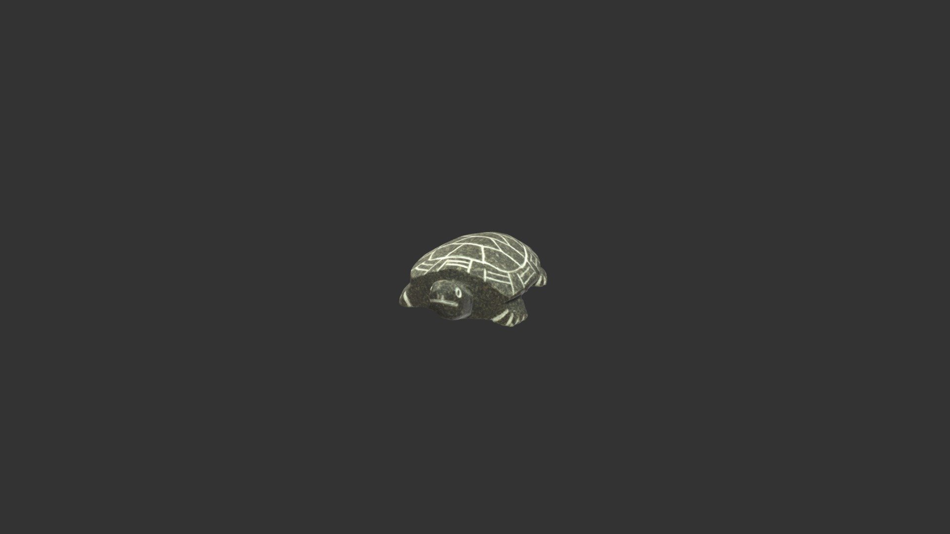 20220214-stone Turtle
