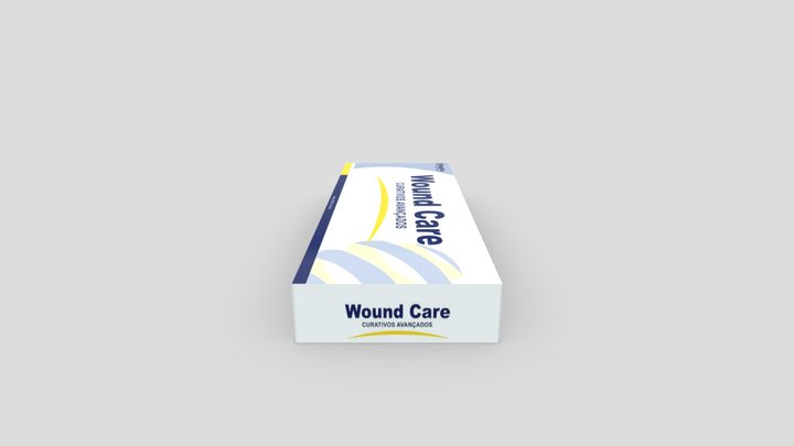 Case big 3D Model