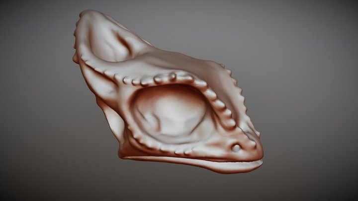 Skull Chamaleon 3D Model