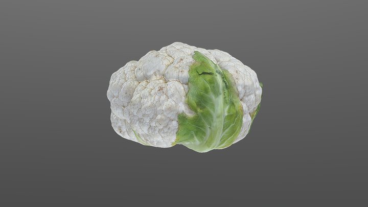 ES2802 Project: 3D Model of a Cauliflower 3D Model