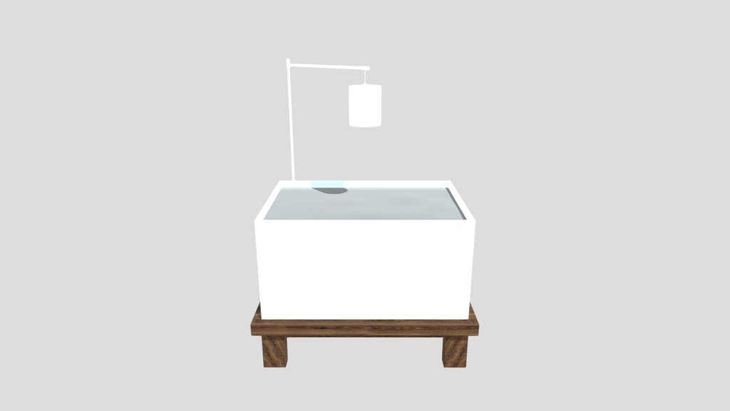 Iwagumi Nano Tank