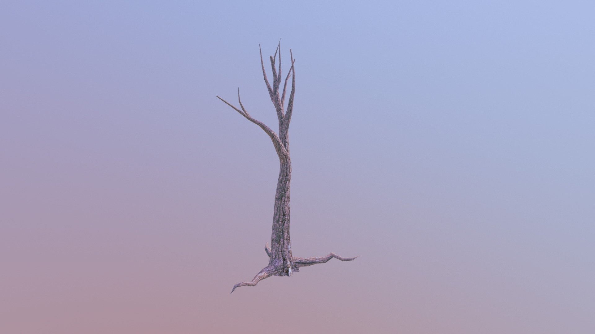 "Tree"