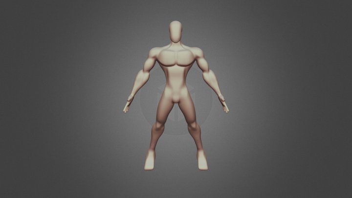 Male Base Mesh 3D Model