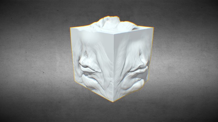 Mouth Study Cube 3D Model