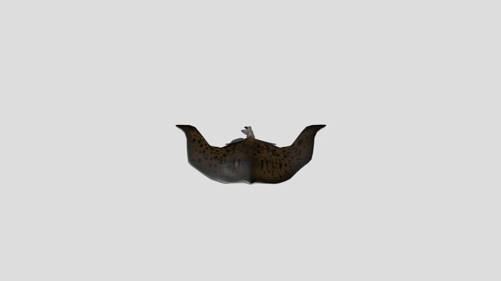 Rayfish Animated