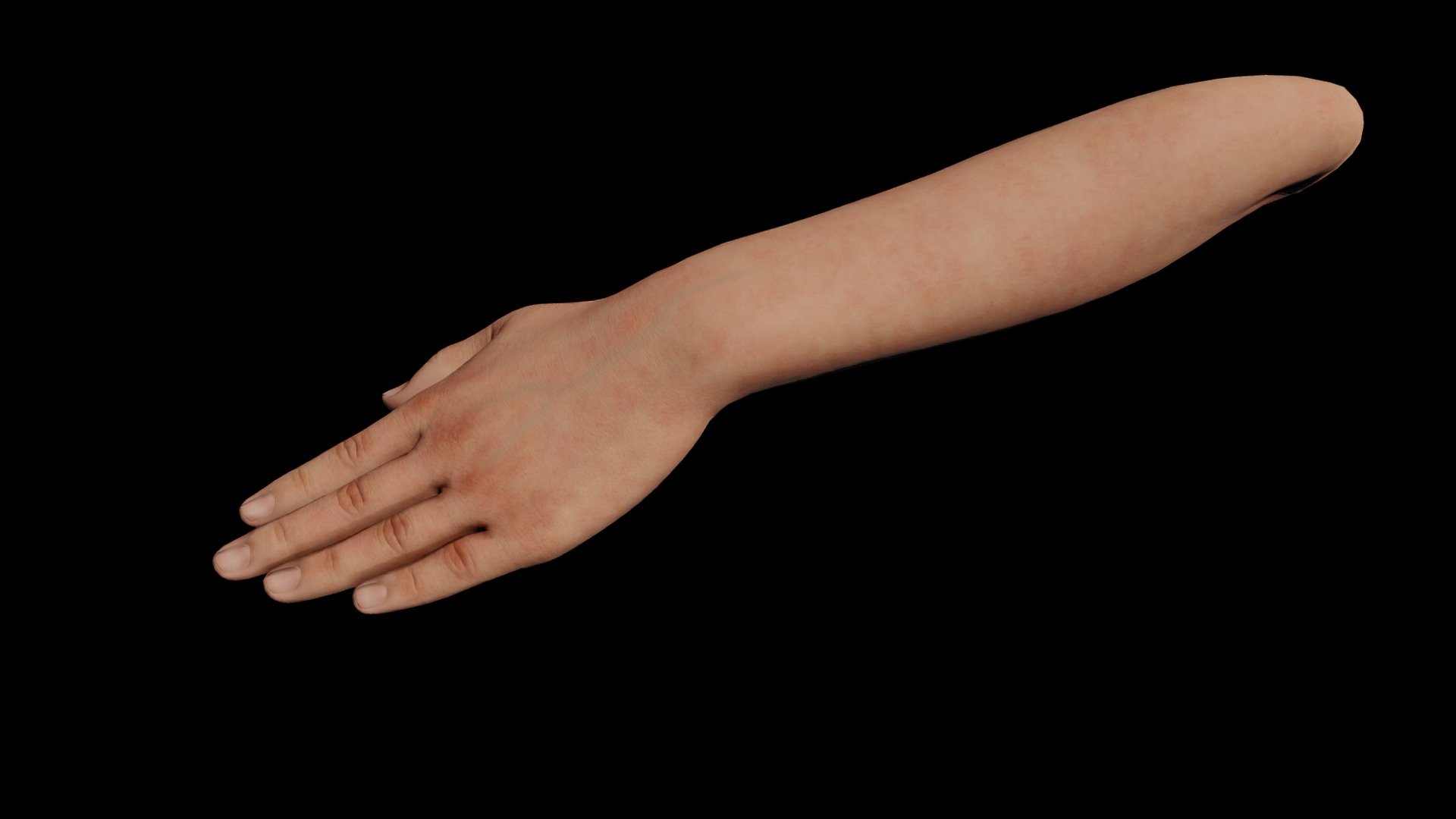 Left Hand 3D model by sarojit [aa4a849] Sketchfab