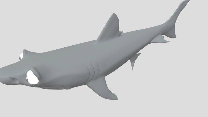 Timid-Shark resubmit 3D Model