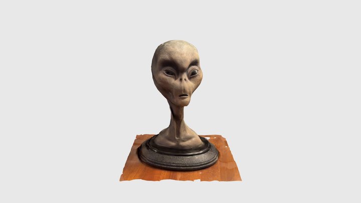 The Grey 3D Model