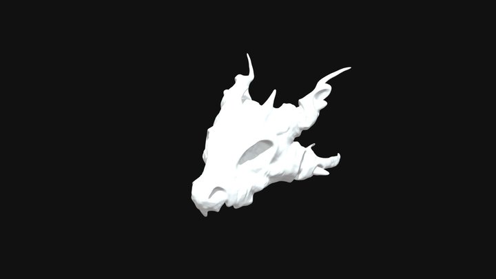 Skull test 3D Model