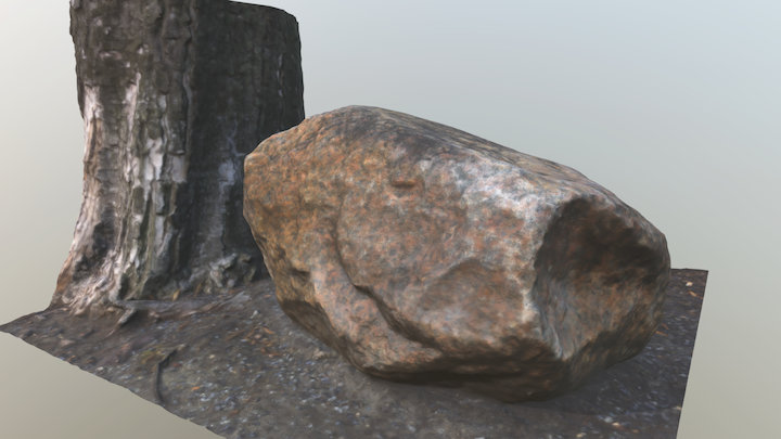 stone and bark 3D Model