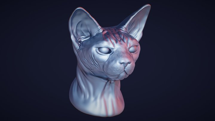 Sphynx Cat 3D Model