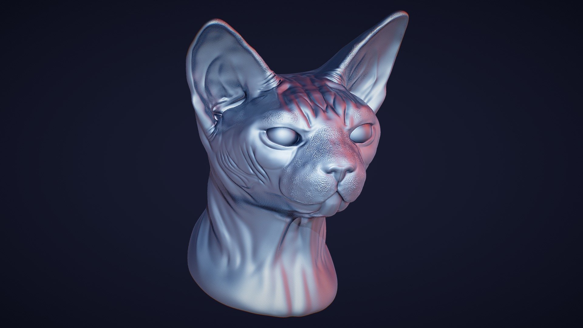 Sphynx Cat - Buy Royalty Free 3D model by NotBlender (@notblender) [aa522dc]