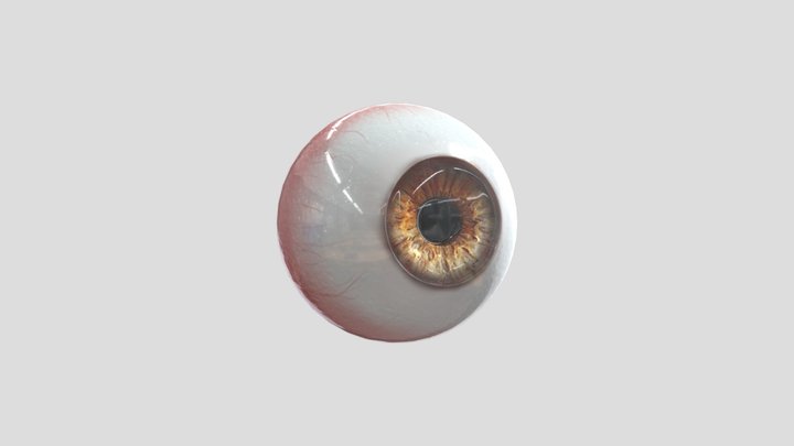 Eyeball 3D Model