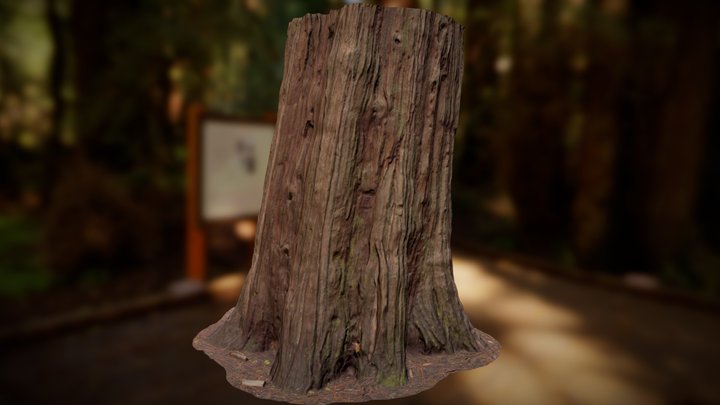 Sequoiadendron Large 02 Mid Poly 3D Model