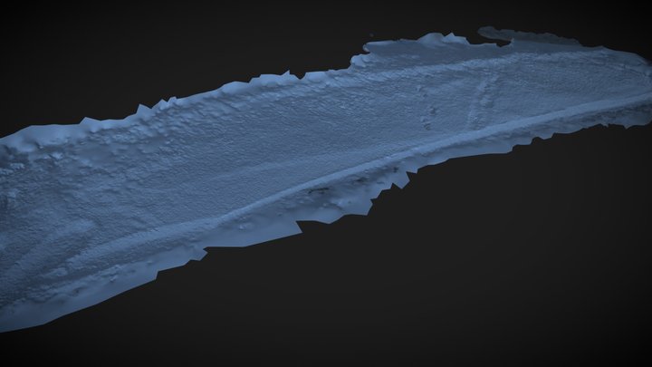 Snowed on road side (typ 2) 3D Model