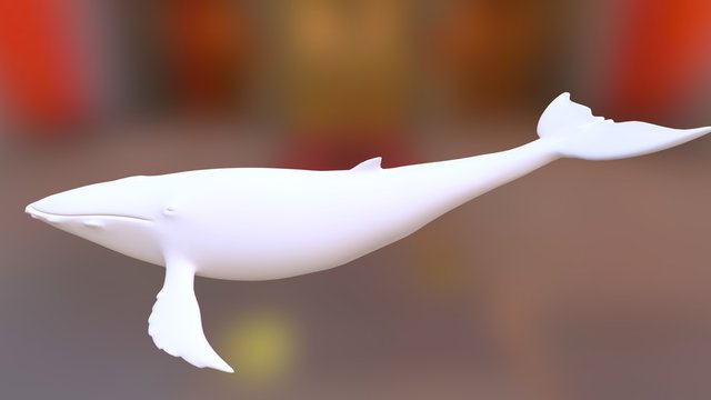 Whale 3D Model