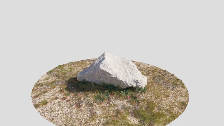 Joshua Tree CA, Rock 2 3D Model