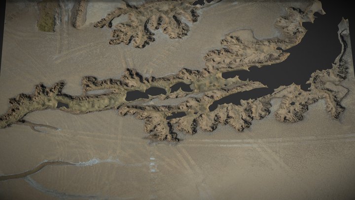 Tidal tree, seacoast, shore – Gratis 3D-model STL