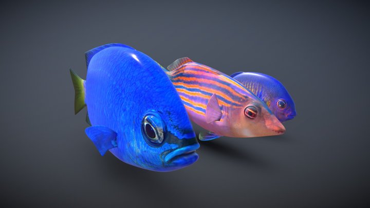 Tropical Fish - Lowpoly Pack 3D Model