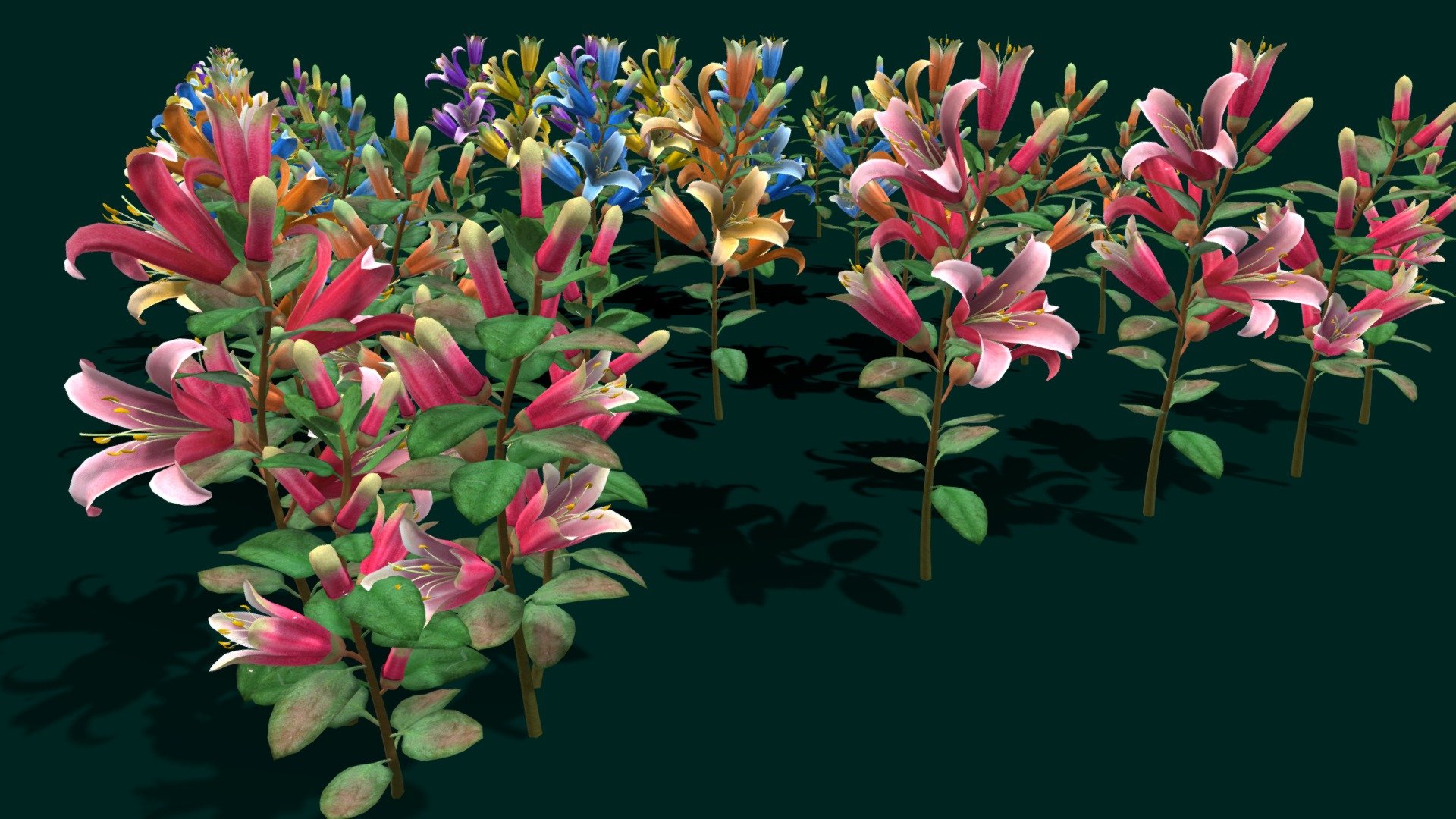 Flower Correa Reflexa - Buy Royalty Free 3D model by vustudios [aa5bf62 ...