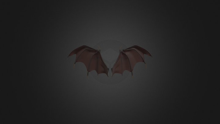 Bat Wings 3D Model