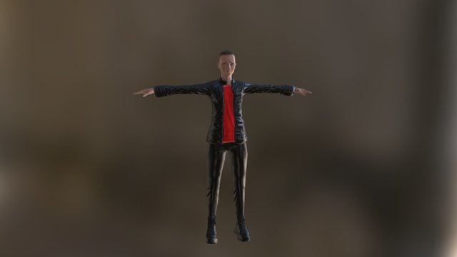 The Hacker 3D Model