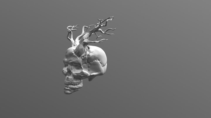 Antler Skull 3D Model