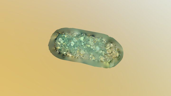 pool_12_SF 3D Model