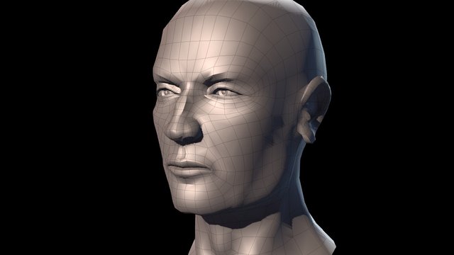 Male Head Sculpt LowPoly 3D Model